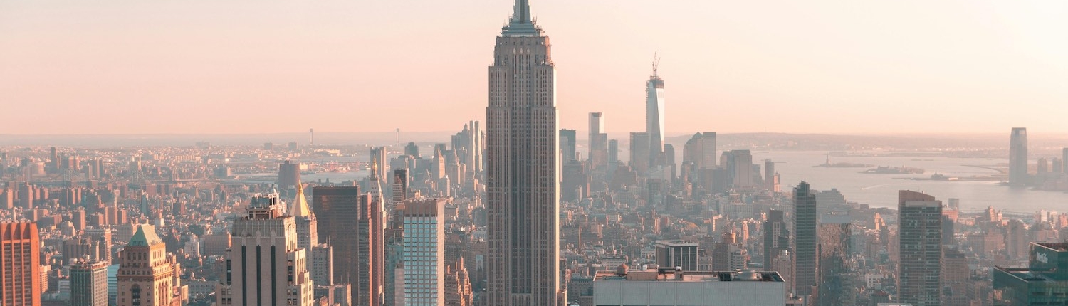 ny NY State Statement of Net Worth